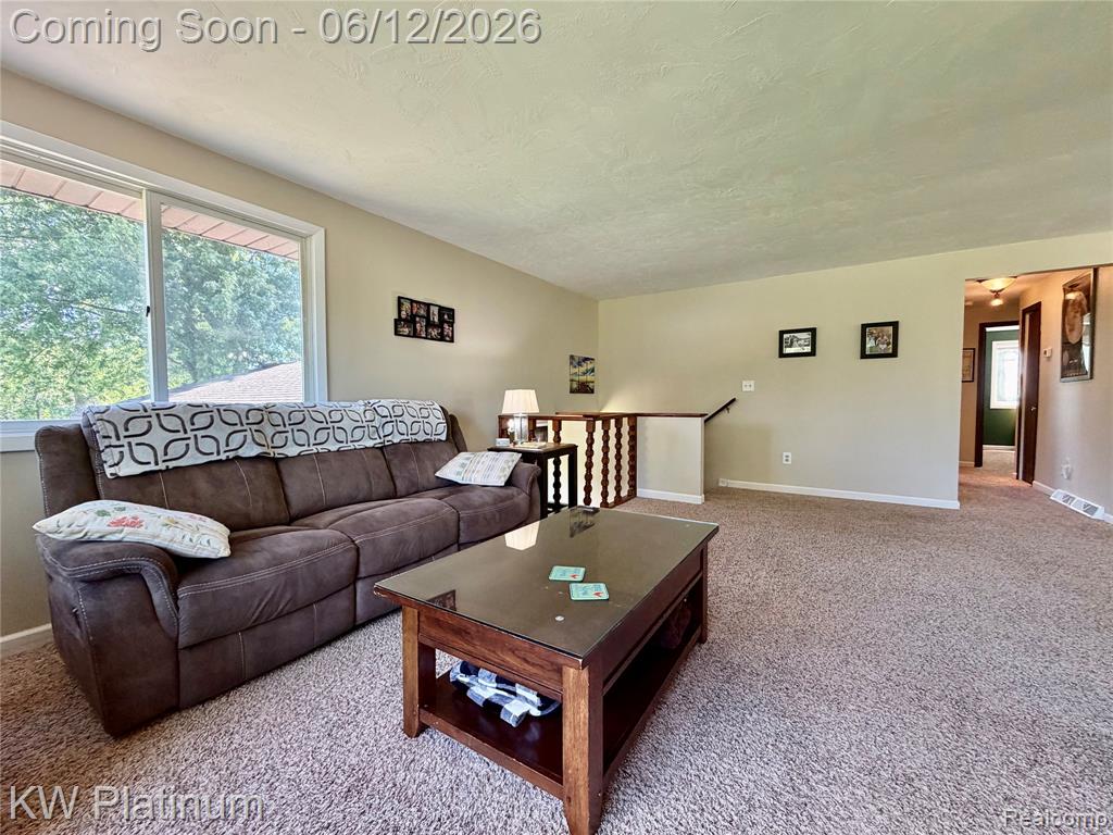 4059 Galbraith Line Road Croswell, MI 48422 - Photo 7 of 37