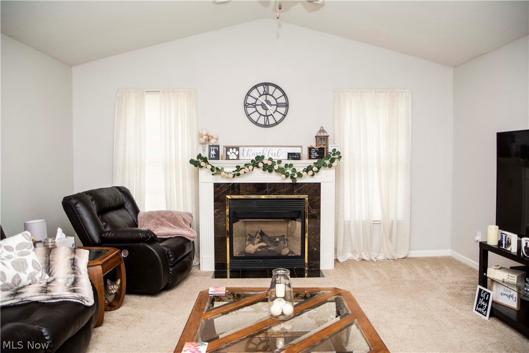 603 South Raccoon Road, Unit 28 Youngstown, OH 44515 - Photo 6 of 34 Gallery Image 6