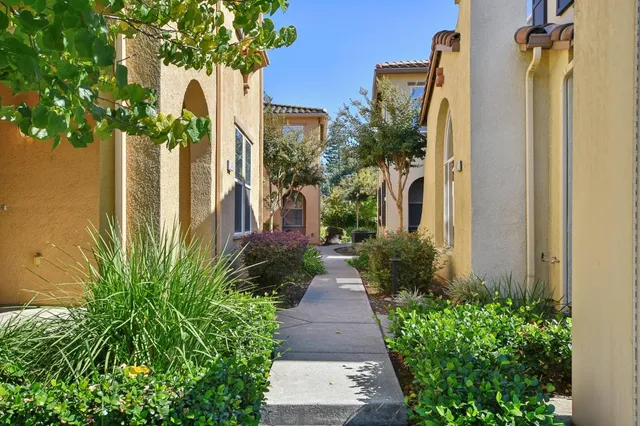 a view of a pathway with flower plants