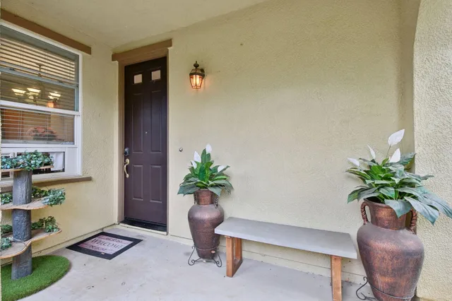 a living room with furniture and a potted plant