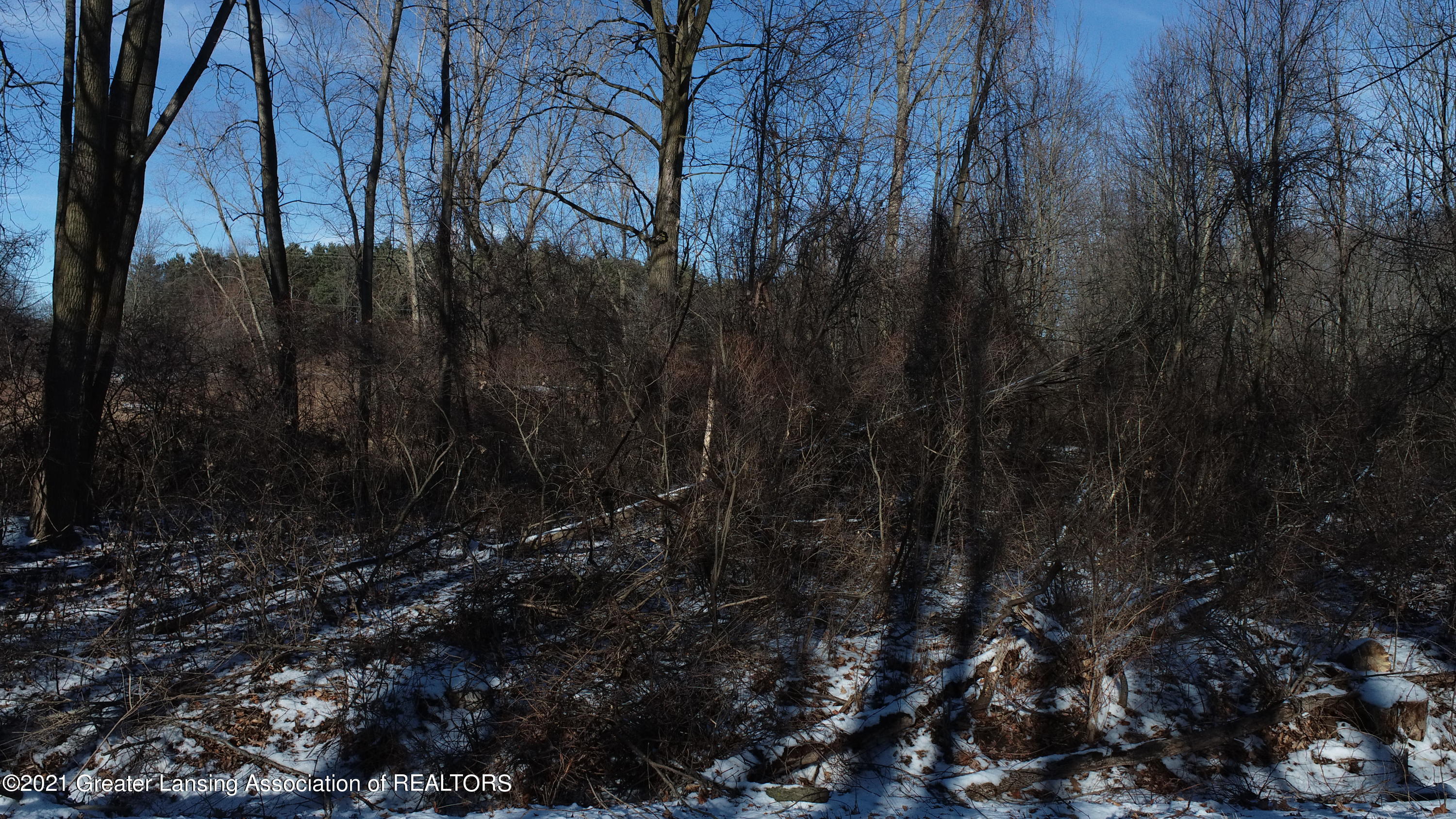 0 Harper Road Mason, MI 48854 - Photo 15 of 17 DJI_0725
