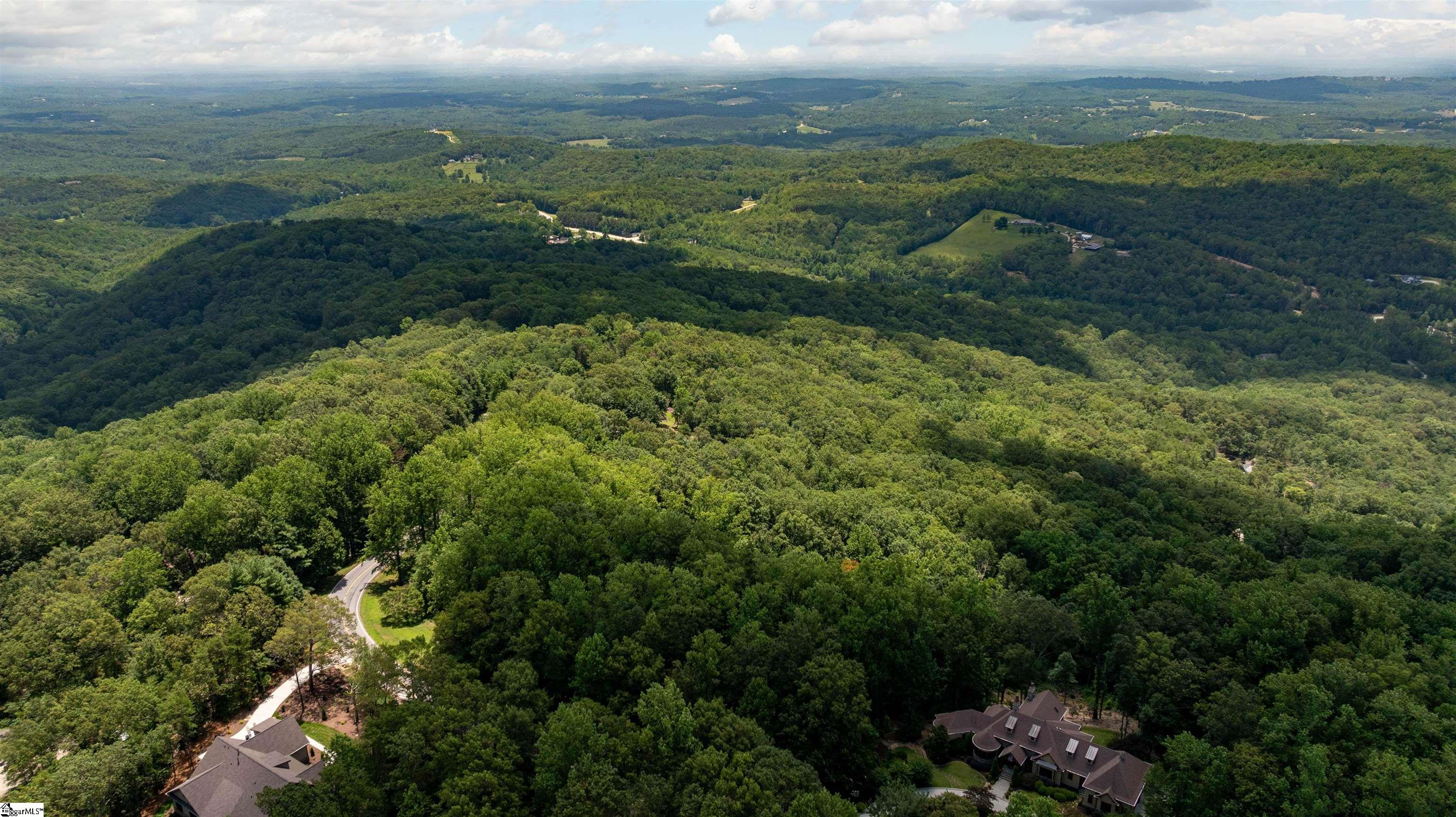 Lot 22 Plumley Summit Road Landrum, SC 29356 - Photo 4 of 27