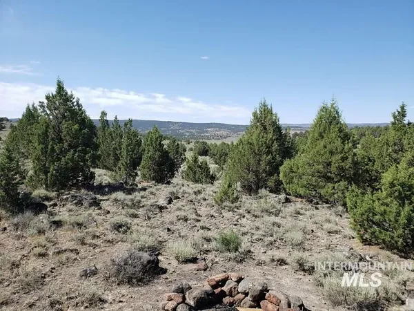 $145,000 | 44 Triangle Ranch, Murphy, ID 83650