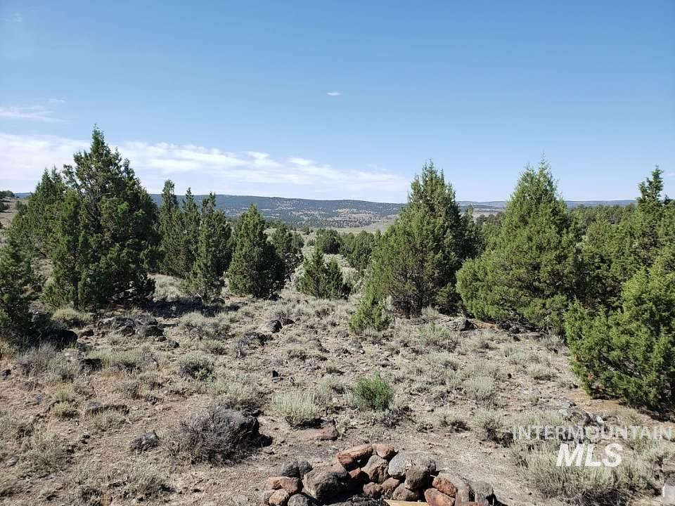 44 Triangle Ranch Murphy, ID 83650 - Photo 1 of 6