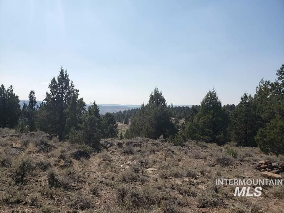 44 Triangle Ranch Murphy, ID 83650 - Photo 2 of 6