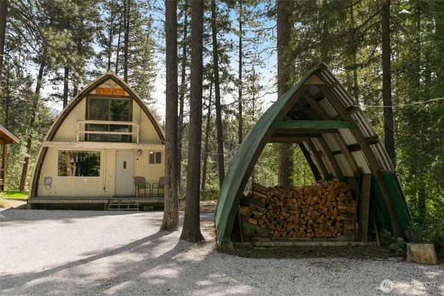 a view of a forest with trees in the background