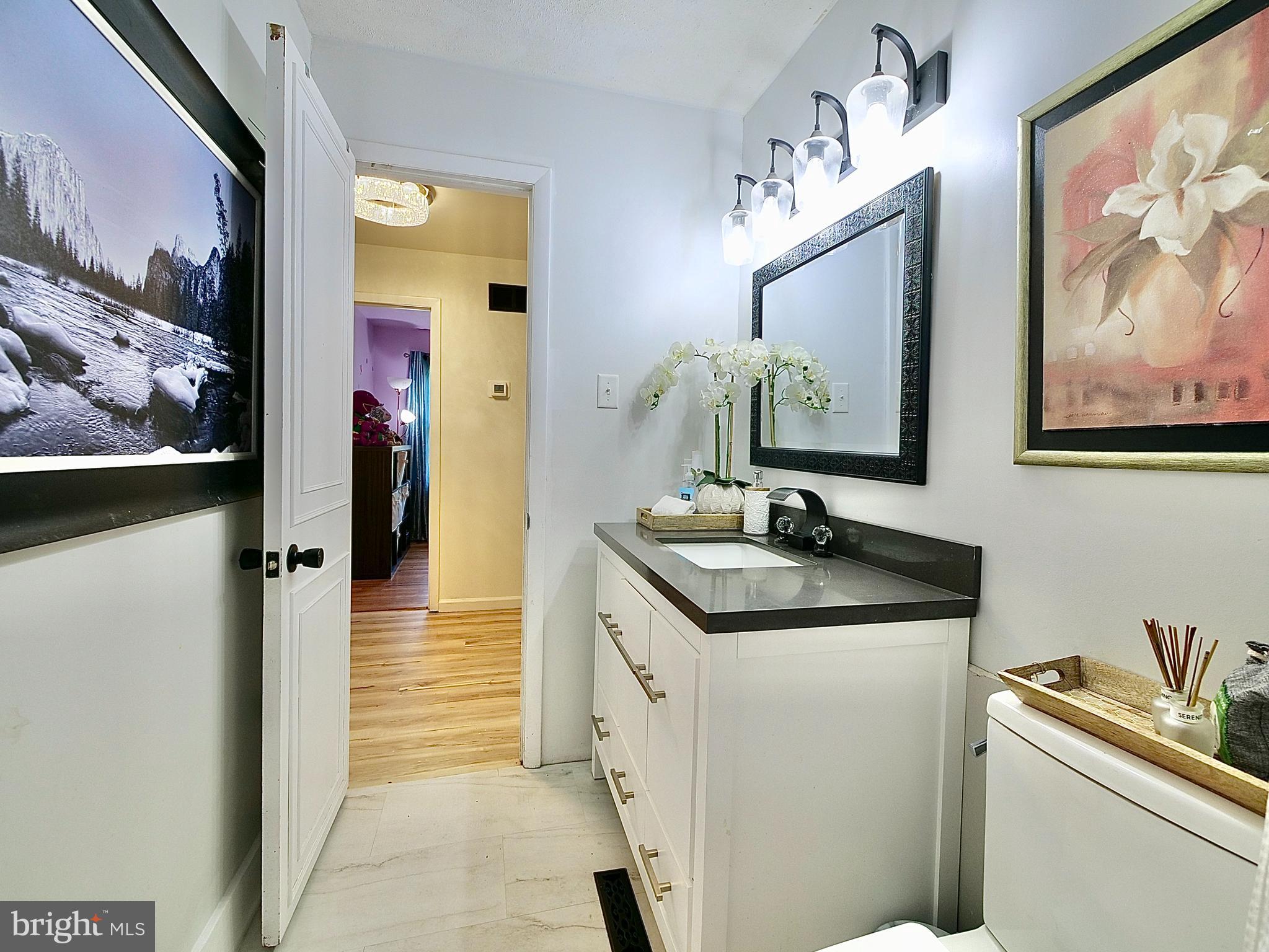 209 Scottfield Turn Newark, DE 19713 - Photo 45 of 62 Hall Bathroom