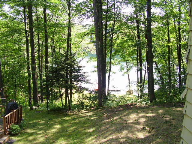147 Loon Lake Loop Road Rose City, MI 48654 - Photo 14 of 14 Gallery Image 14