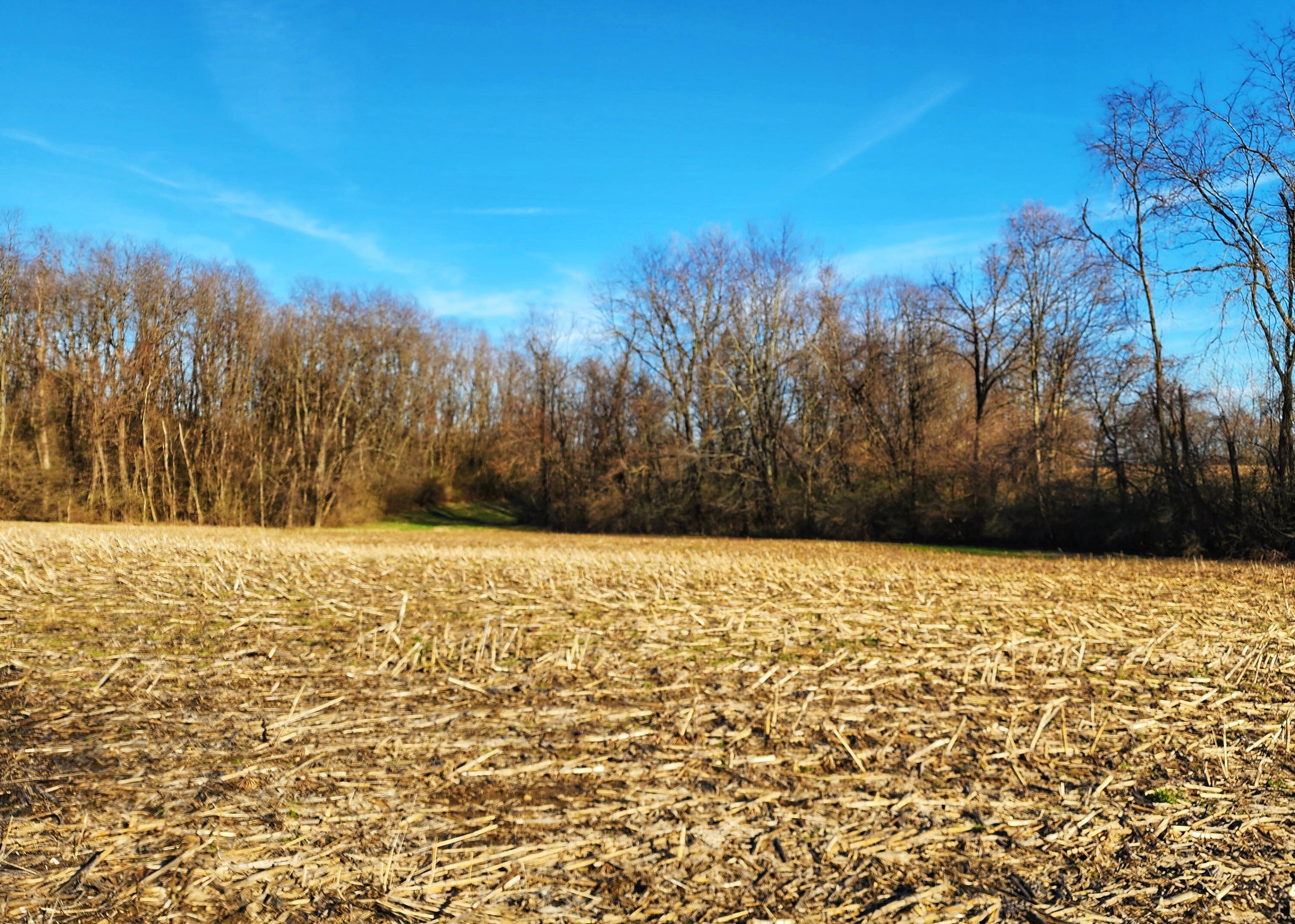 0 Justus Road Southwest Amanda, OH 43102 - Photo 24 of 32 Justus Rd SW 24