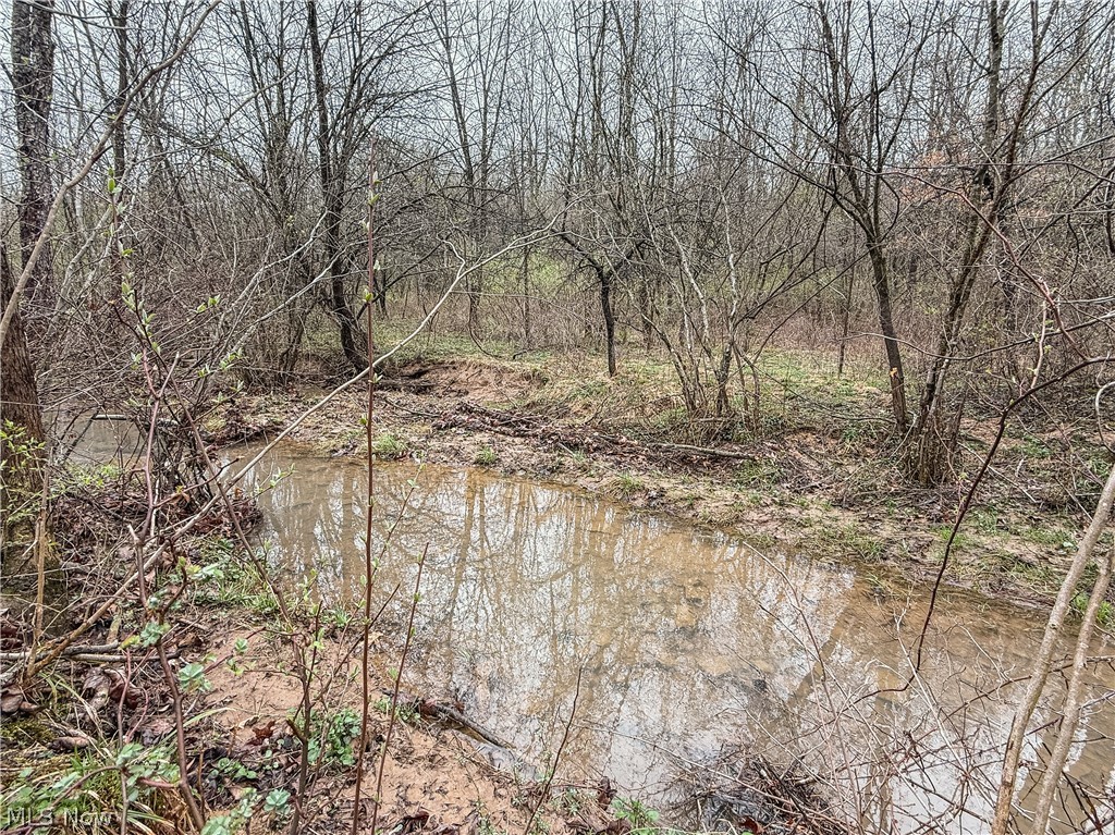 Buck Hill Road Frazeysburg, OH 43822 - Photo 11 of 24