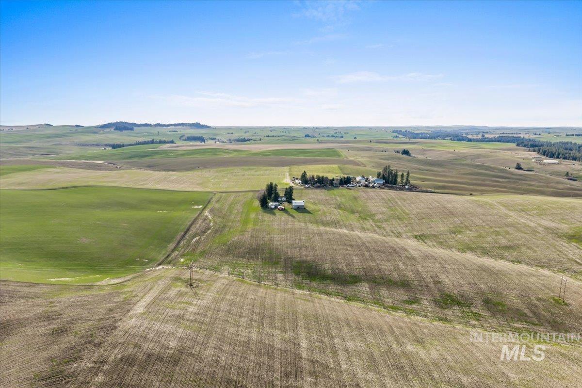 19454 Idaho Road Worley, ID 83876 - Photo 36 of 50 Aerial view of sparsely populated area featuring rows of crops