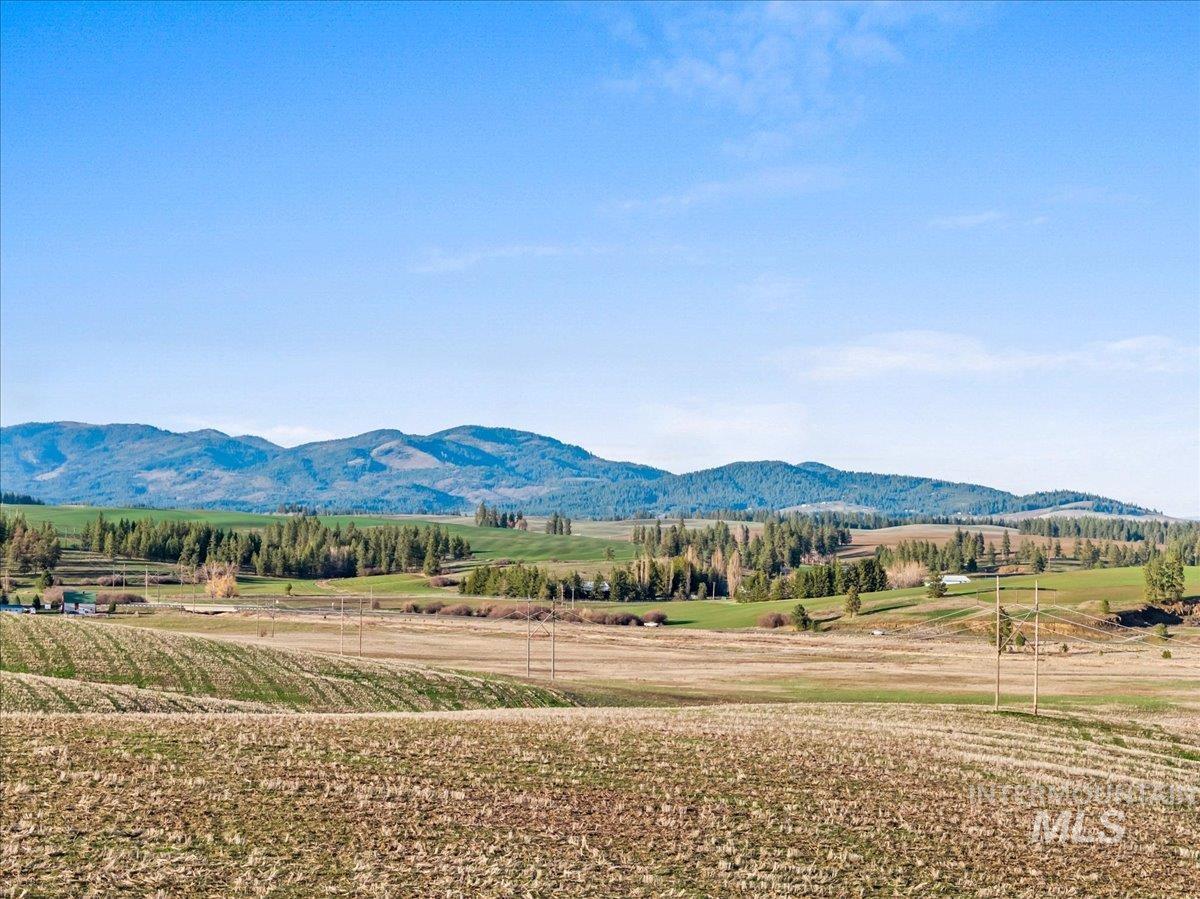 19454 Idaho Road Worley, ID 83876 - Photo 45 of 50 View of mountain background with rural landscape