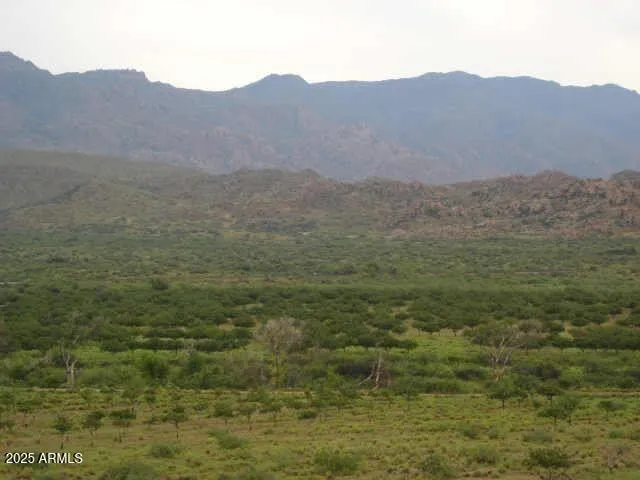 a view of a lush green hillside and a mountain view