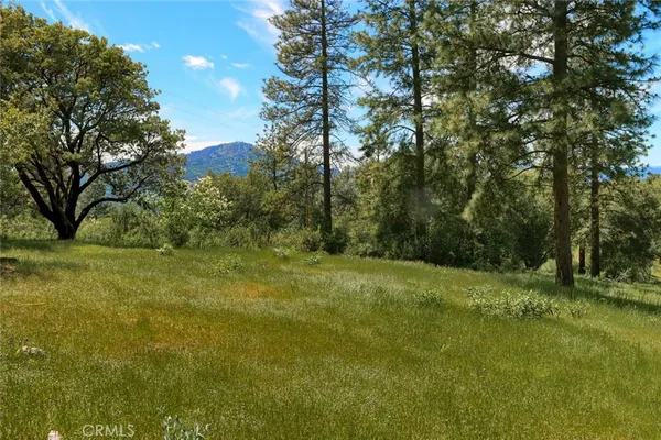 a view of a field with trees