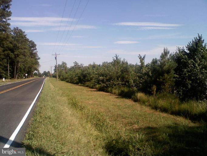 Sandtown Rd View