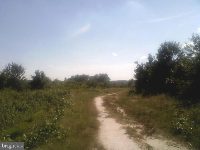 Lane