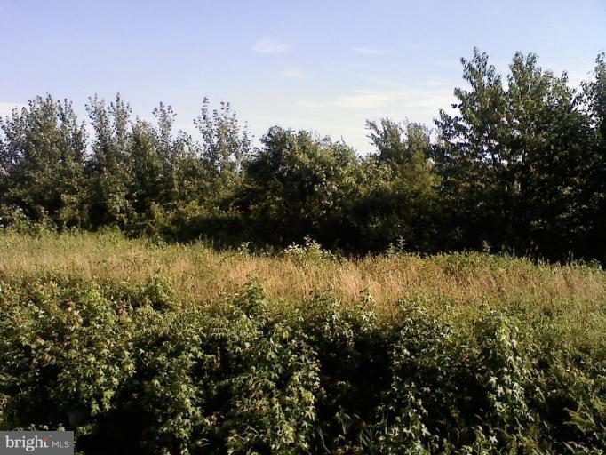 Wooded View / Acreage