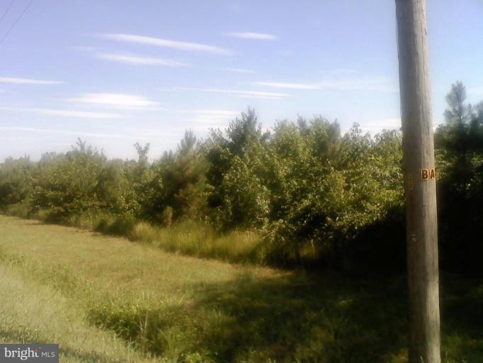 Wooded View / Acreage 2