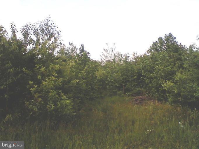 0 Holly Spring Road Felton, DE 19943 - Photo 10 of 10 Wooded View / Acreage 3