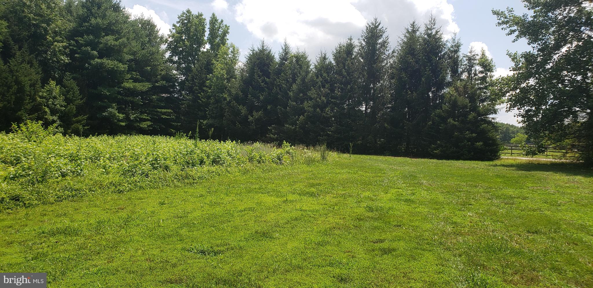 0 Hopkins Cemetery Road Harrington, DE 19952 - Photo 1 of 2 Gallery Image 1