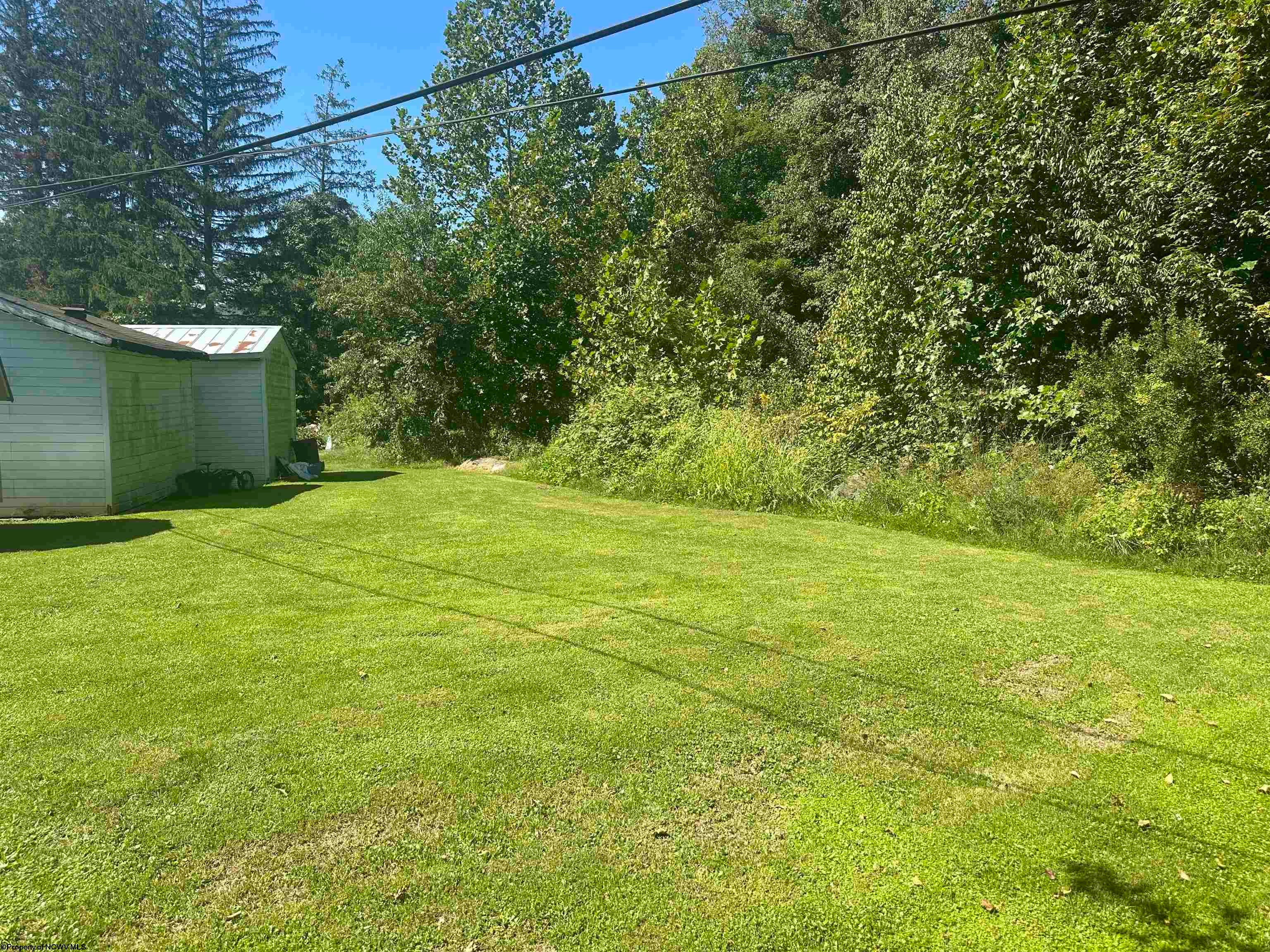 133 Back Road Mill Creek, WV 26280 - Photo 4 of 16 Gallery Image 4