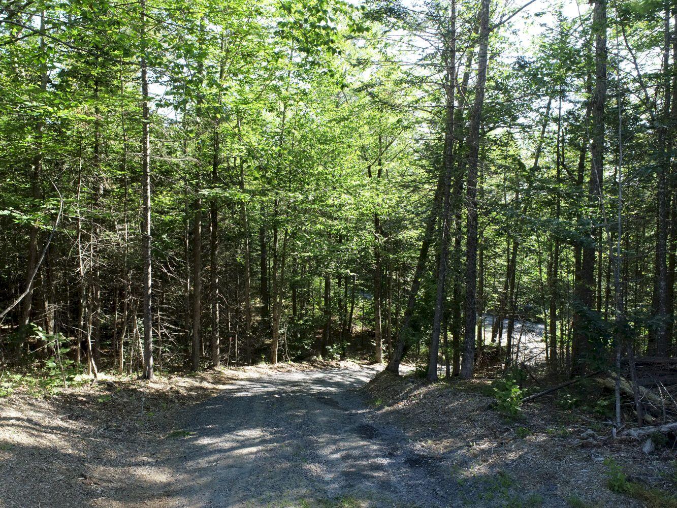 M10-l20-3 Embden Pond Road Embden, ME 04958 - Photo 12 of 37 DJI_0012