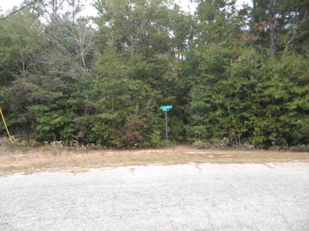 3.28-acre 3.28-acre Blair Road Milton, FL 32570 - Photo 22 of 23 Gallery Image 22
