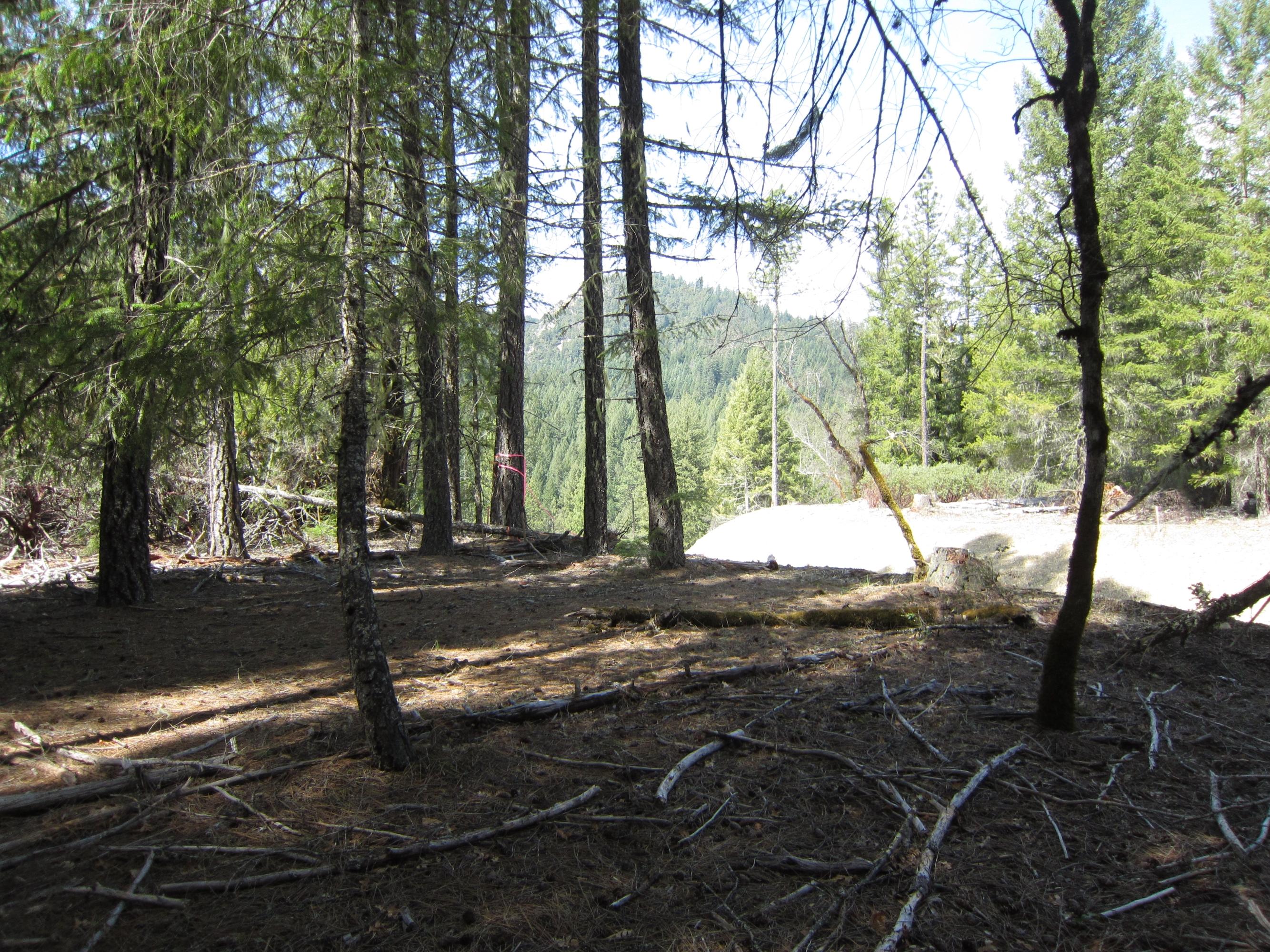 191 Van Duzen Road Mad River, CA 95526 - Photo 3 of 7