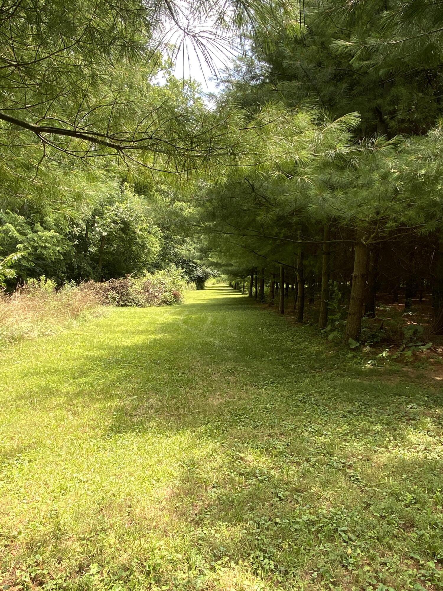 5186 Shank Road Dayton, OH 45417 - Photo 19 of 47
