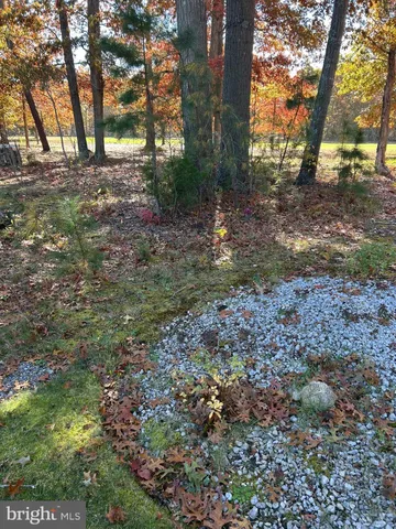 a view of outdoor space with trees