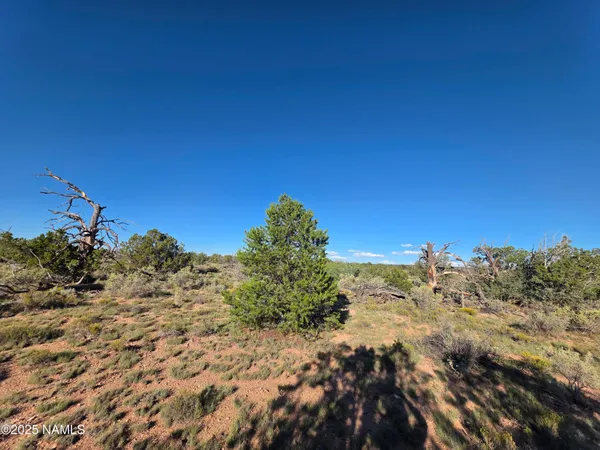 $65,000 | 10072 Red Butte Road, Williams, AZ 86046