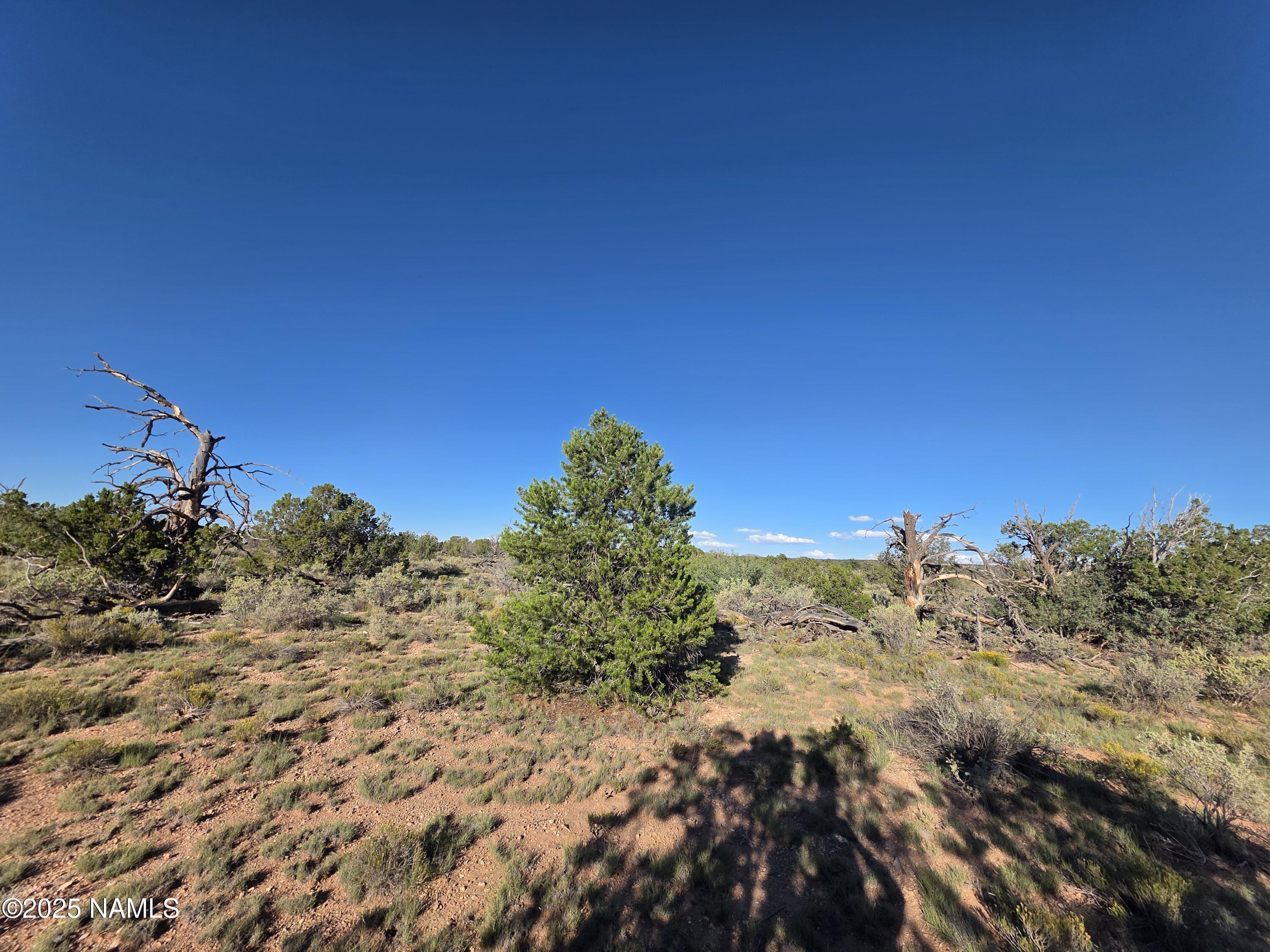 10072 Red Butte Road Williams, AZ 86046 - Photo 11 of 20 a view of a large building with a mountain in the background