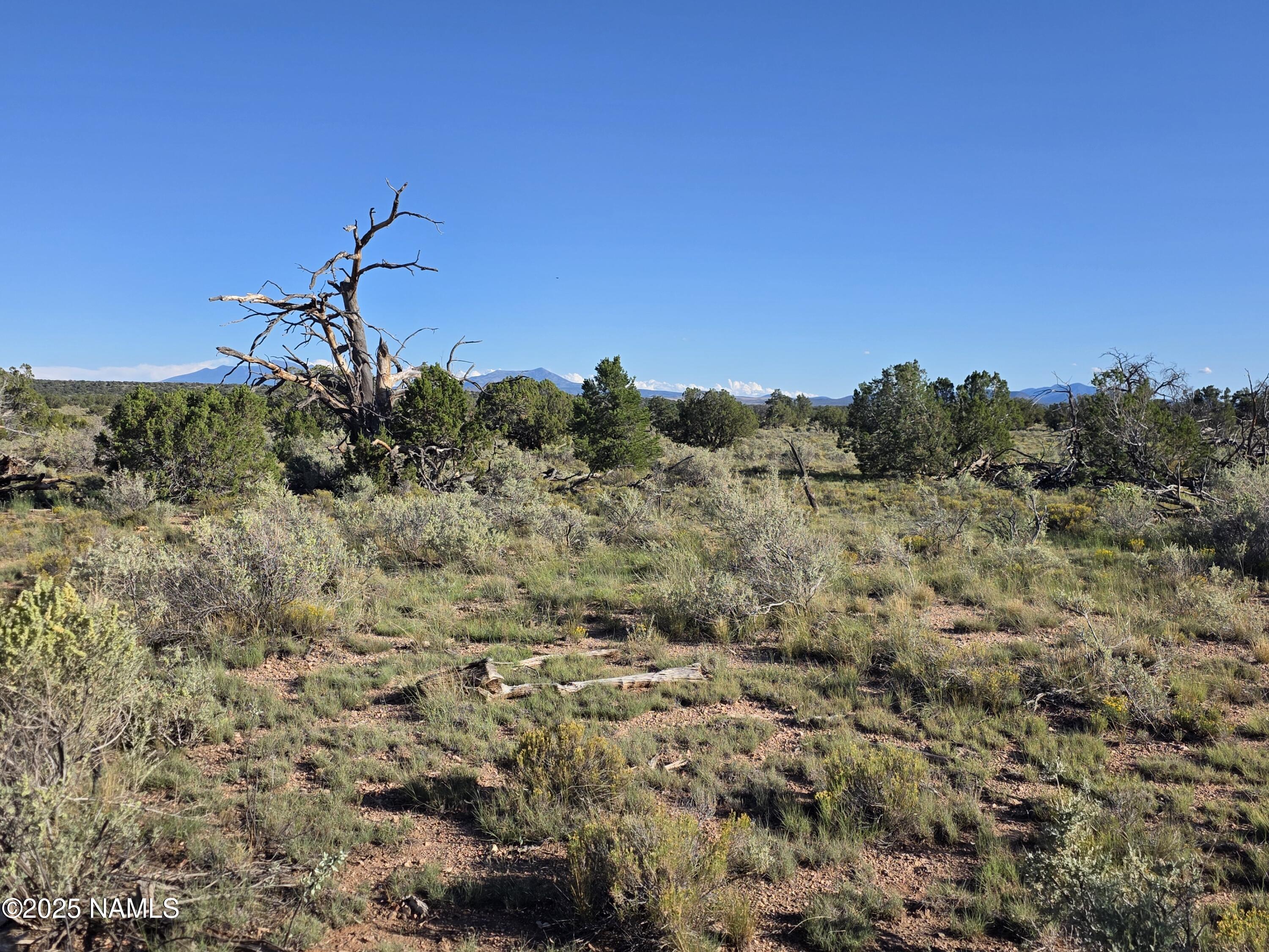 10072 Red Butte Road Williams, AZ 86046 - Photo 12 of 20 a view of a dry yard