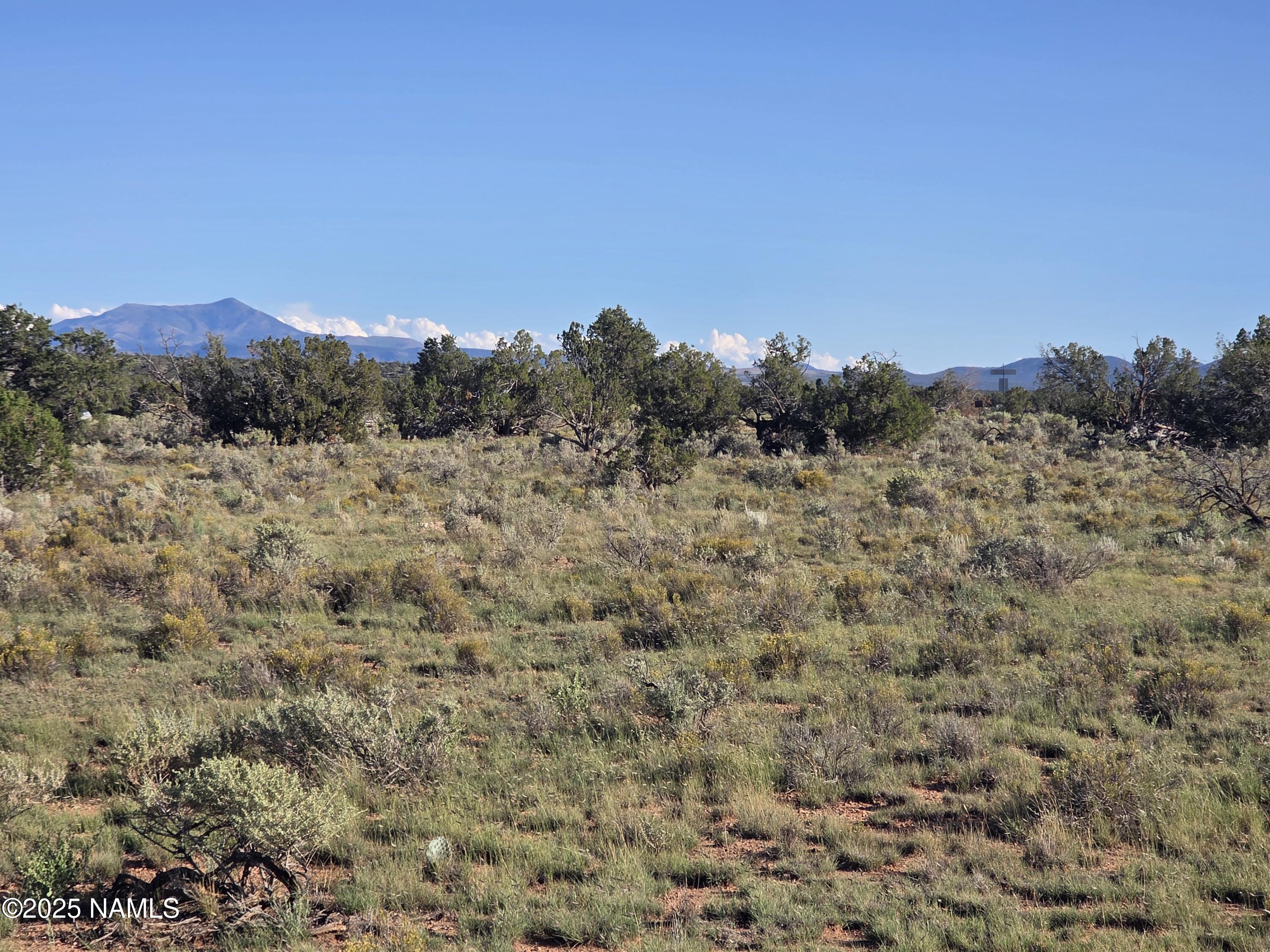 10072 Red Butte Road Williams, AZ 86046 - Photo 15 of 20 a view of a dry yard with trees in the background
