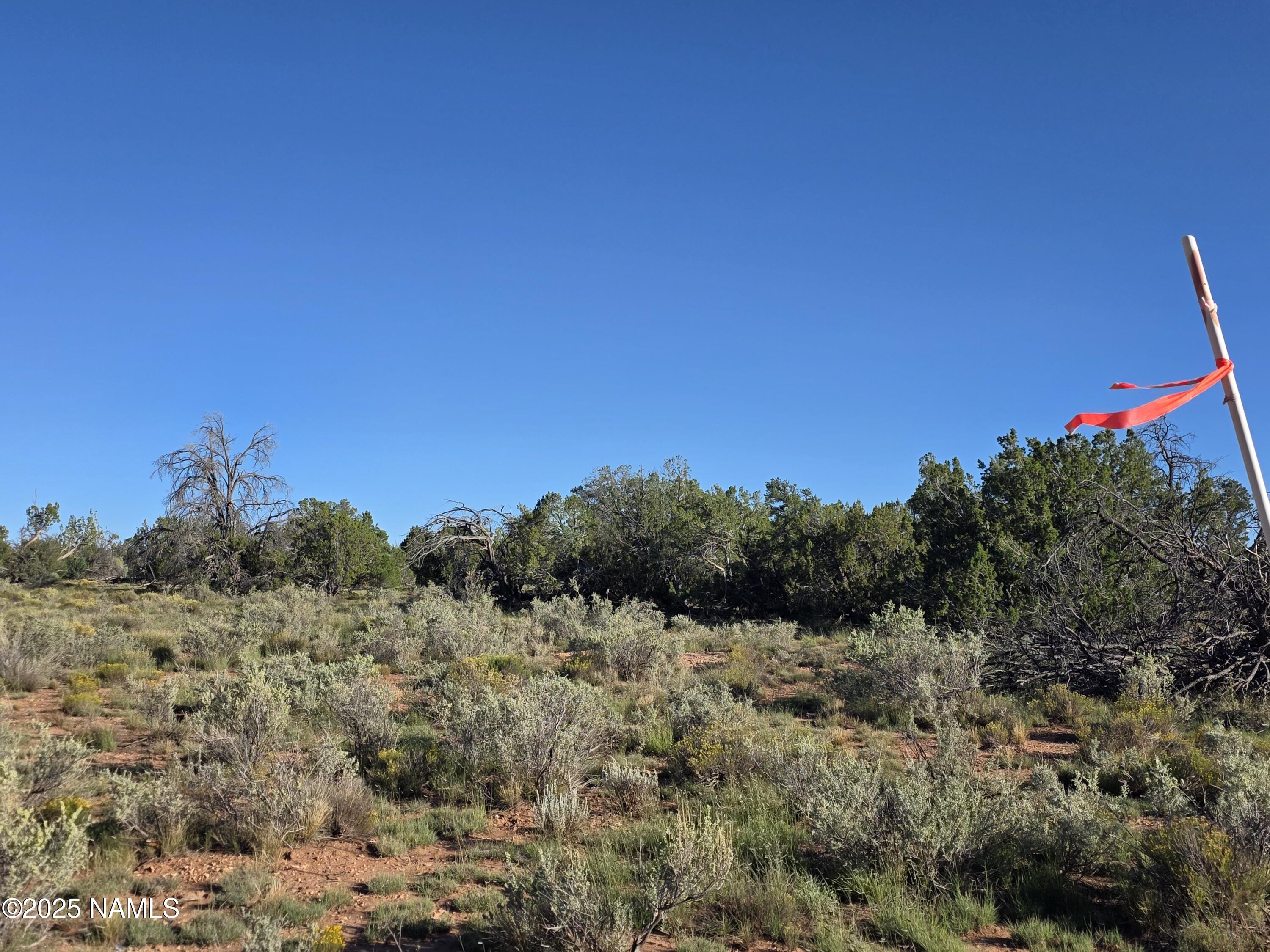 10072 Red Butte Road Williams, AZ 86046 - Photo 16 of 20 a view of a field