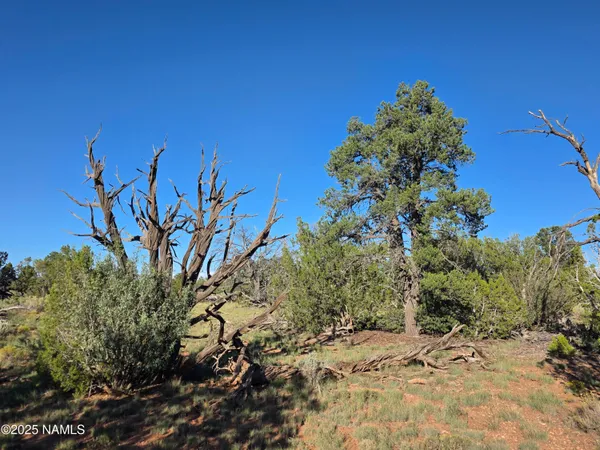 $65,000 | 10072 Red Butte Road, Williams, AZ 86046