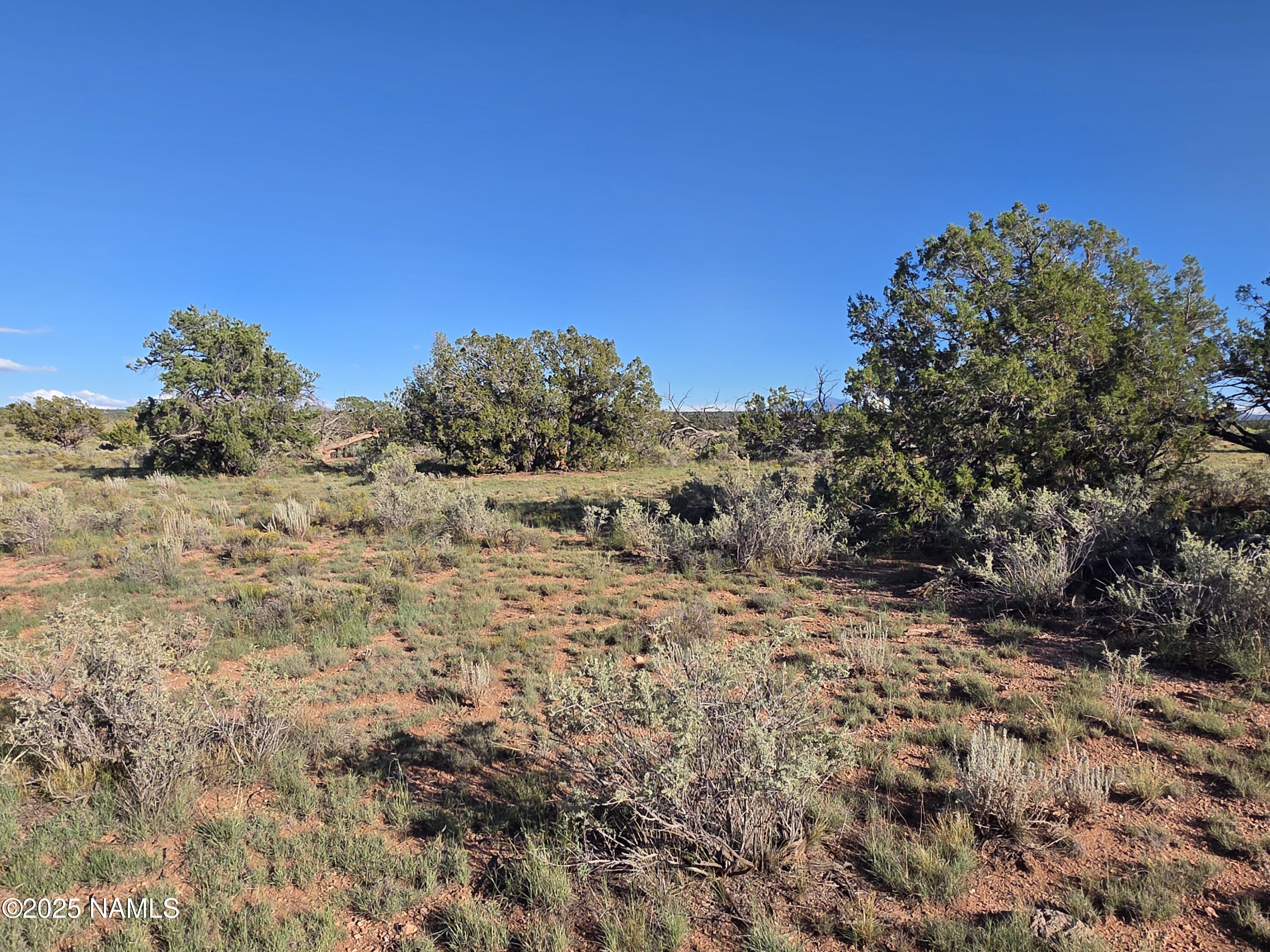 10072 Red Butte Road Williams, AZ 86046 - Photo 5 of 20 a view of a dry yard with green space