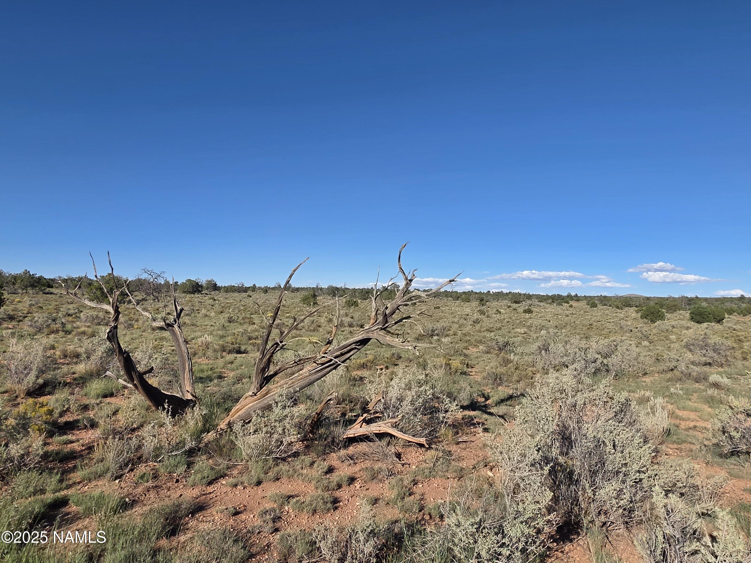 10072 Red Butte Road Williams, AZ 86046 - Photo 6 of 20 a view of a field with a building in the background
