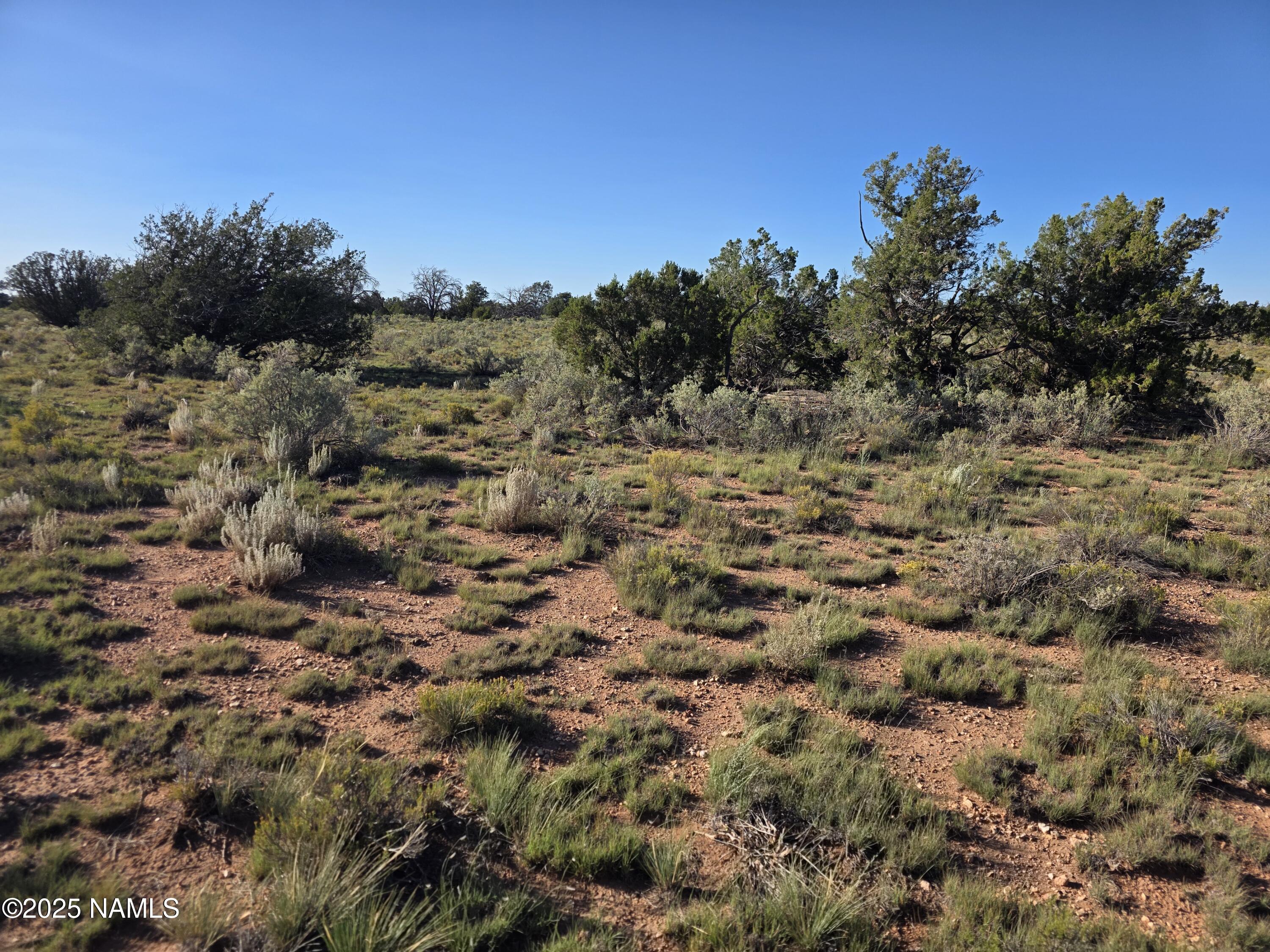 10072 Red Butte Road Williams, AZ 86046 - Photo 8 of 20 a view of a field