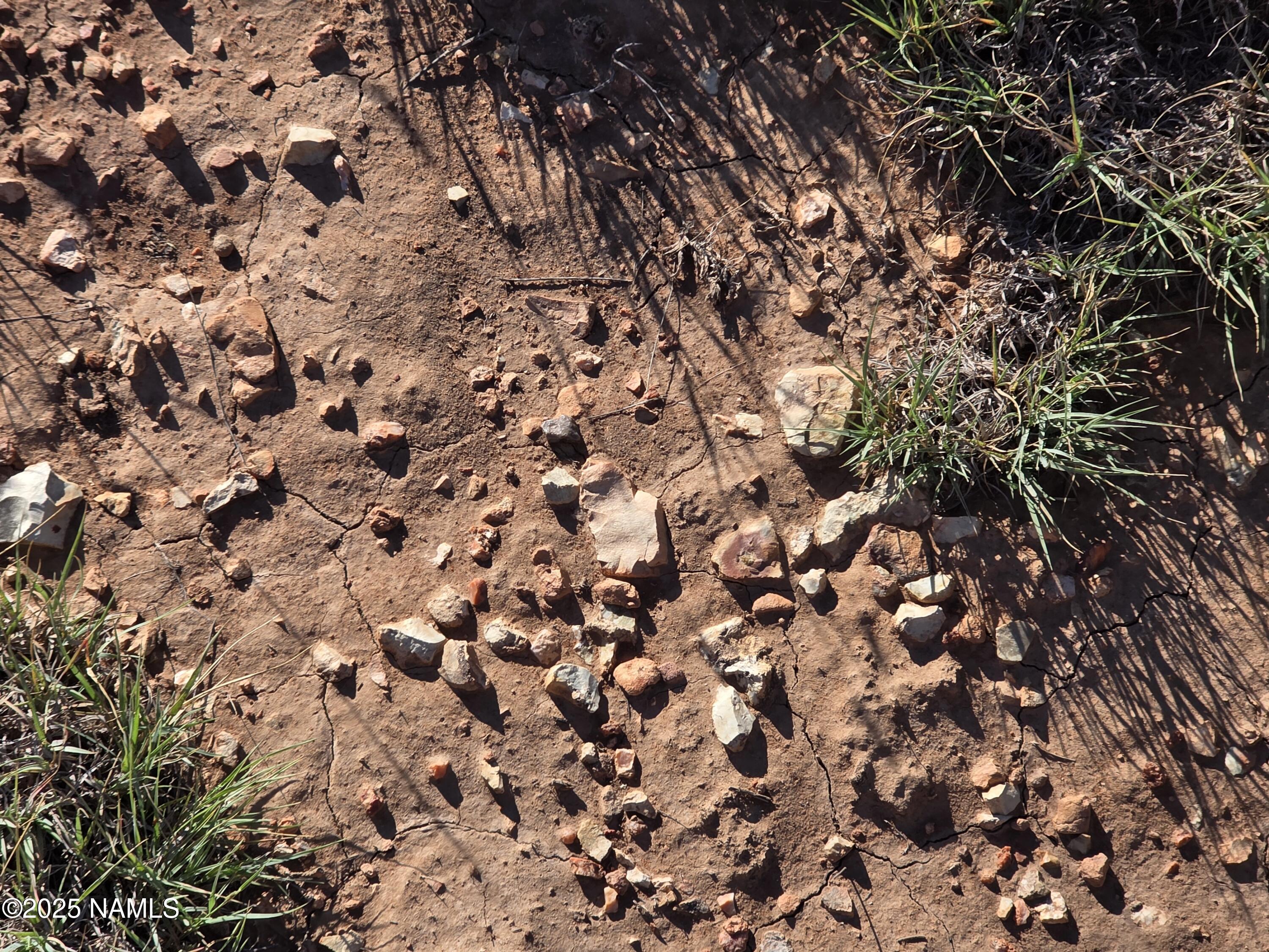 10072 Red Butte Road Williams, AZ 86046 - Photo 9 of 20 a view of a tree