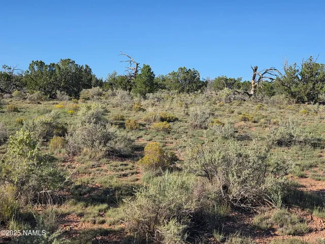 a view of a large building with a mountain in the background