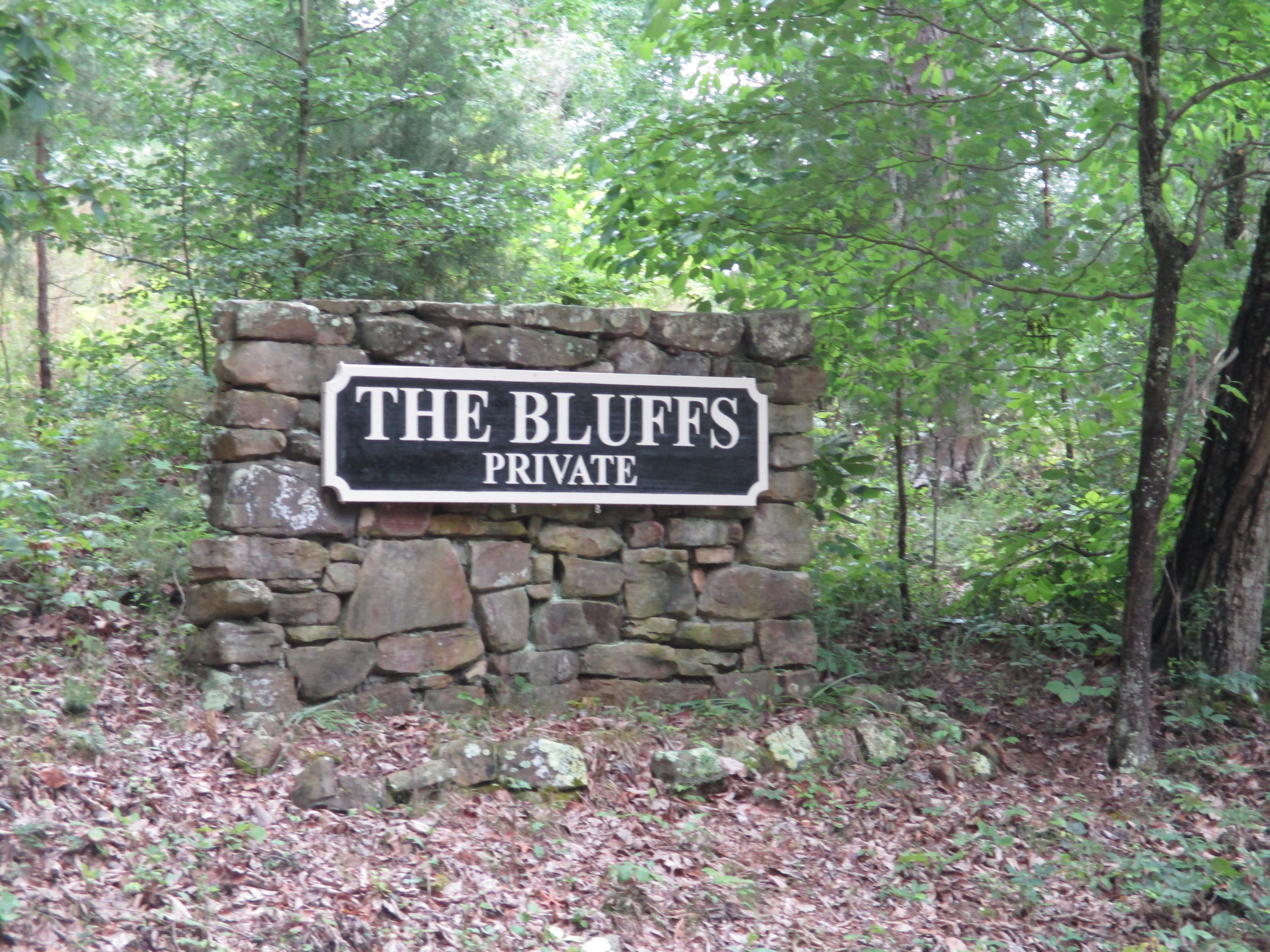 0 South Bluffs Road, Unit LOTS #32/33 Guild, TN 37340 - Photo 1 of 21 IMG_1175