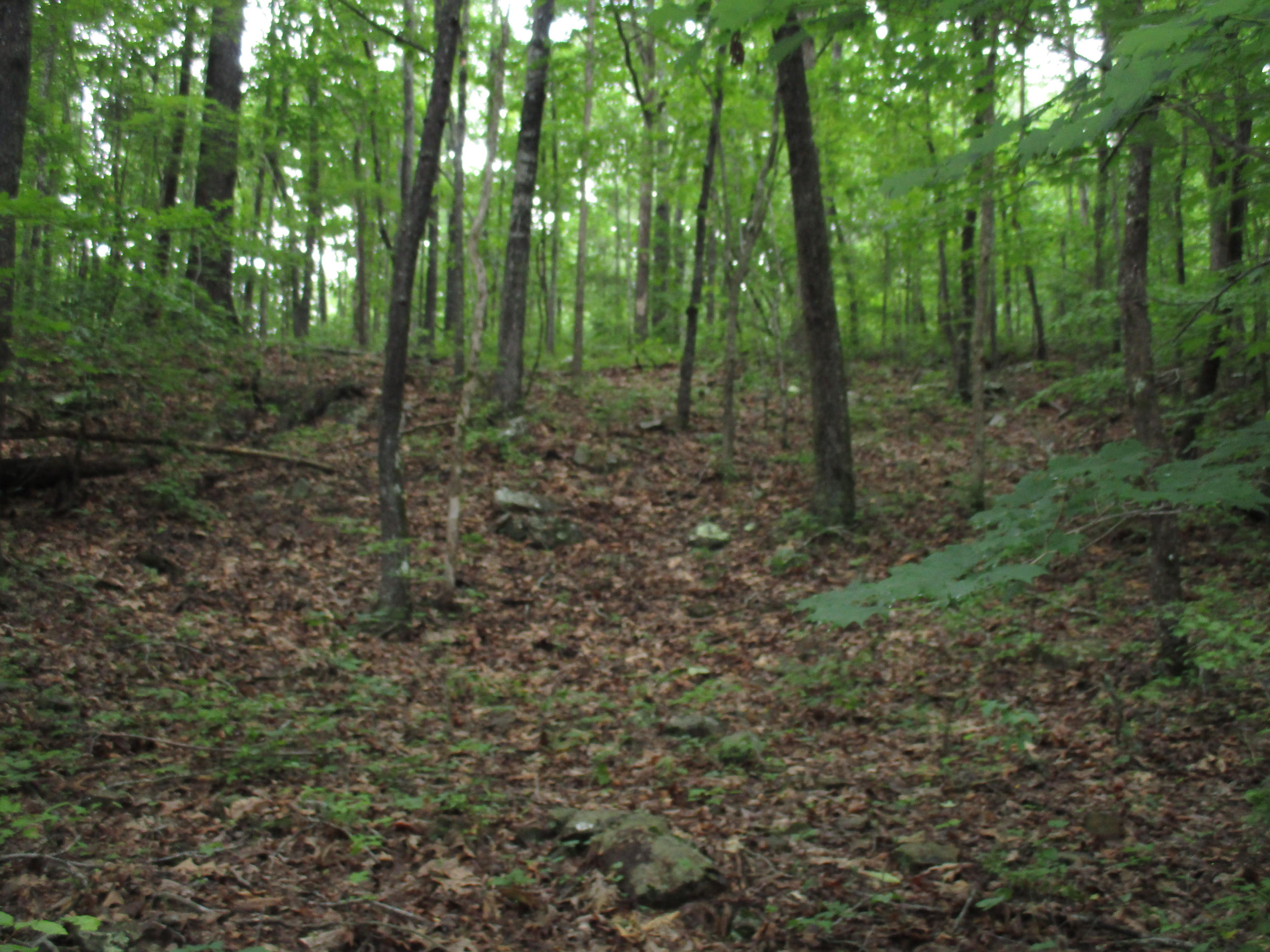 0 South Bluffs Road, Unit LOTS #32/33 Guild, TN 37340 - Photo 18 of 21 IMG_1194