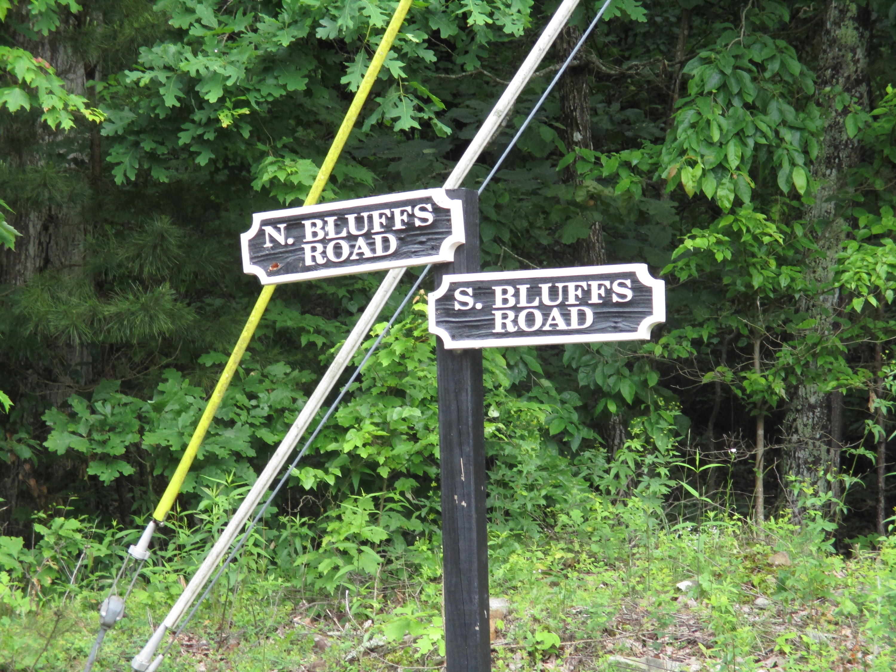 0 South Bluffs Road, Unit LOTS #32/33 Guild, TN 37340 - Photo 3 of 21 IMG_1178