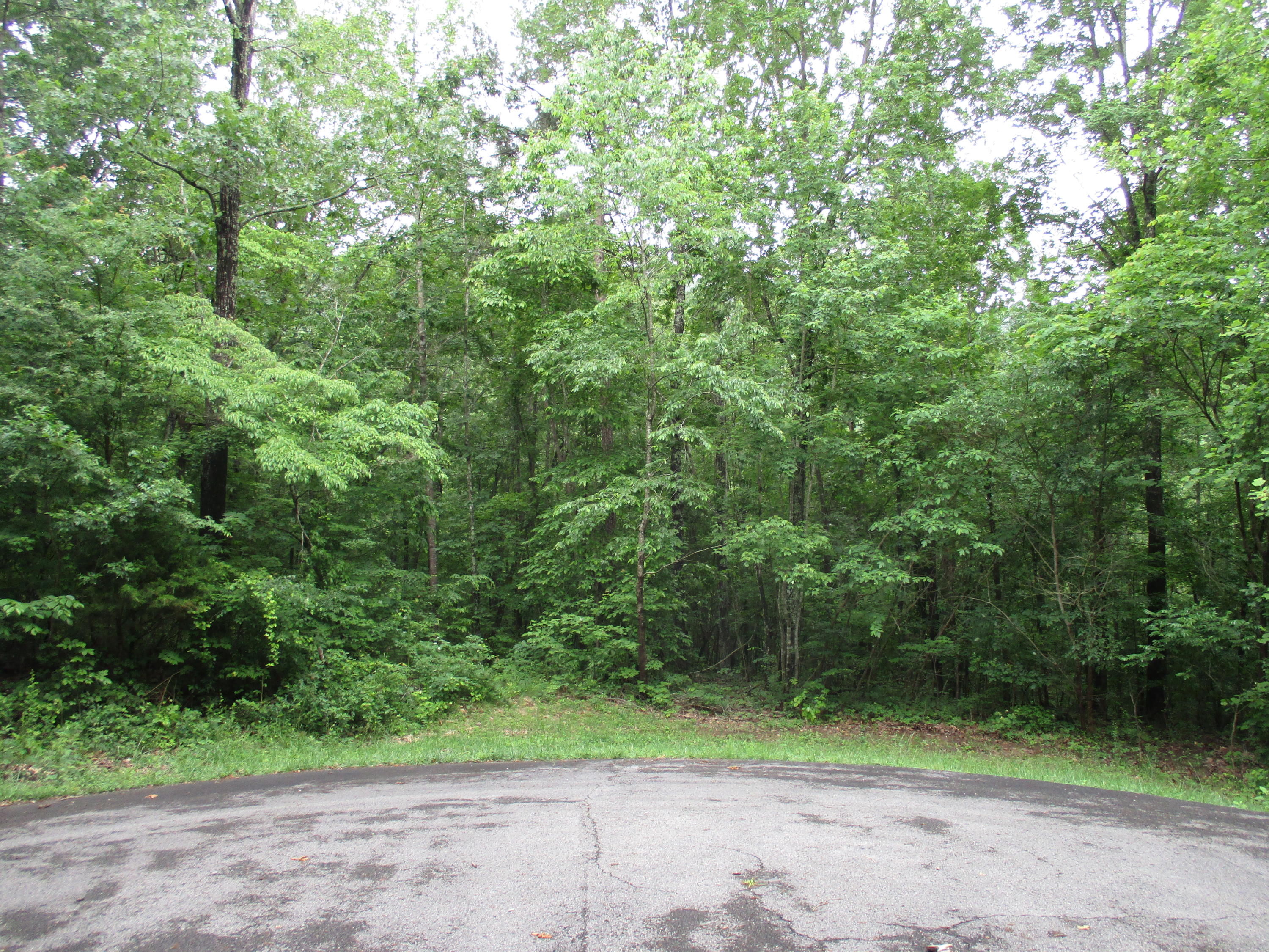 0 South Bluffs Road, Unit LOTS #32/33 Guild, TN 37340 - Photo 4 of 21 IMG_1179
