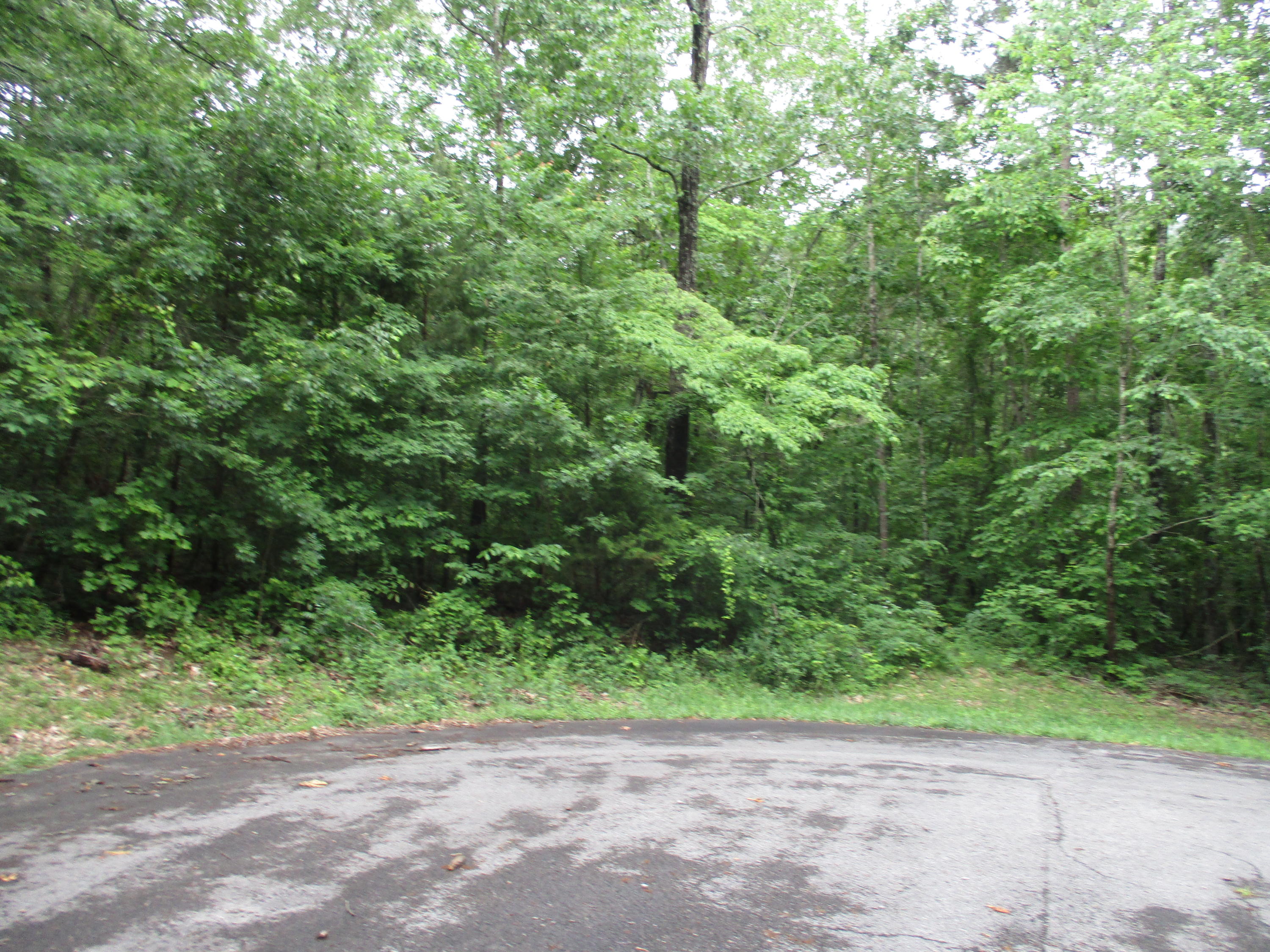 0 South Bluffs Road, Unit LOTS #32/33 Guild, TN 37340 - Photo 5 of 21 IMG_1180