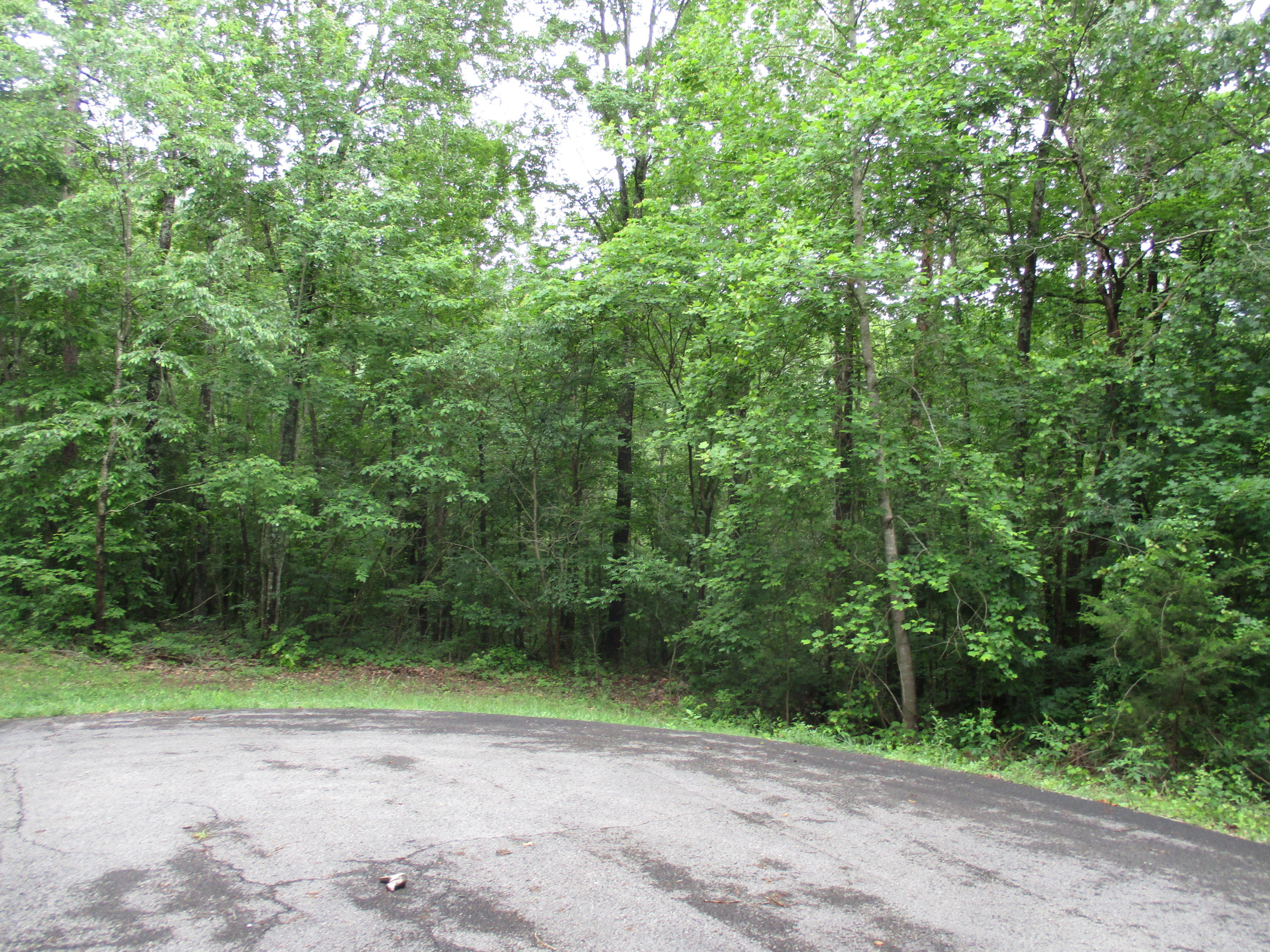 0 South Bluffs Road, Unit LOTS #32/33 Guild, TN 37340 - Photo 6 of 21 IMG_1181