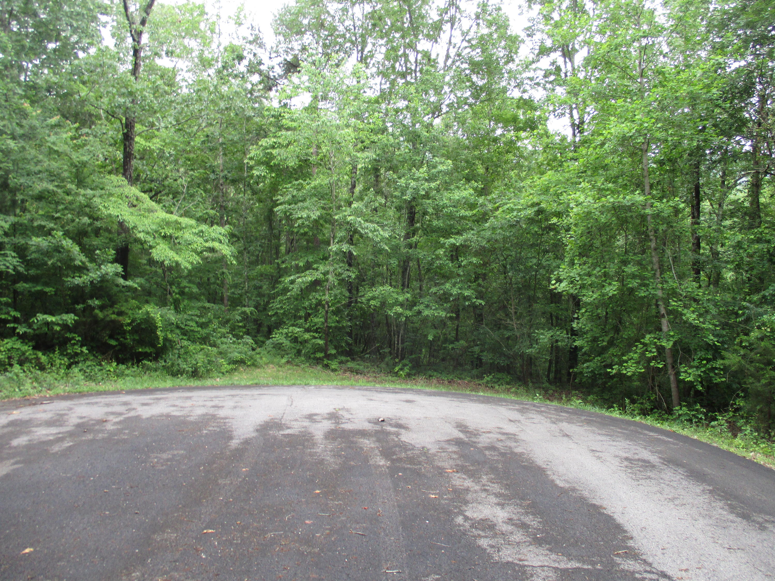 0 South Bluffs Road, Unit LOTS #32/33 Guild, TN 37340 - Photo 7 of 21 IMG_1183