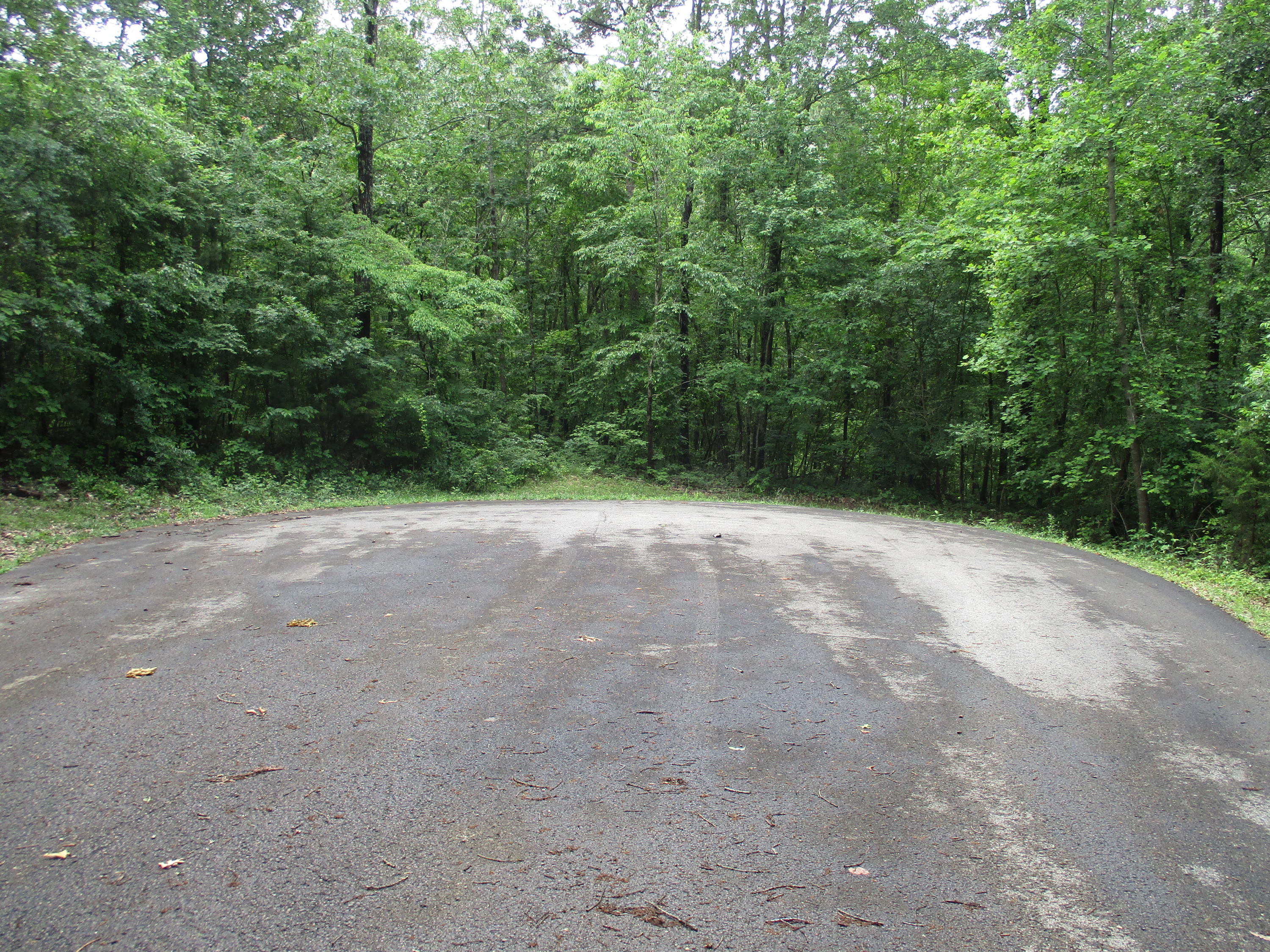 0 South Bluffs Road, Unit LOTS #32/33 Guild, TN 37340 - Photo 8 of 21 IMG_1184
