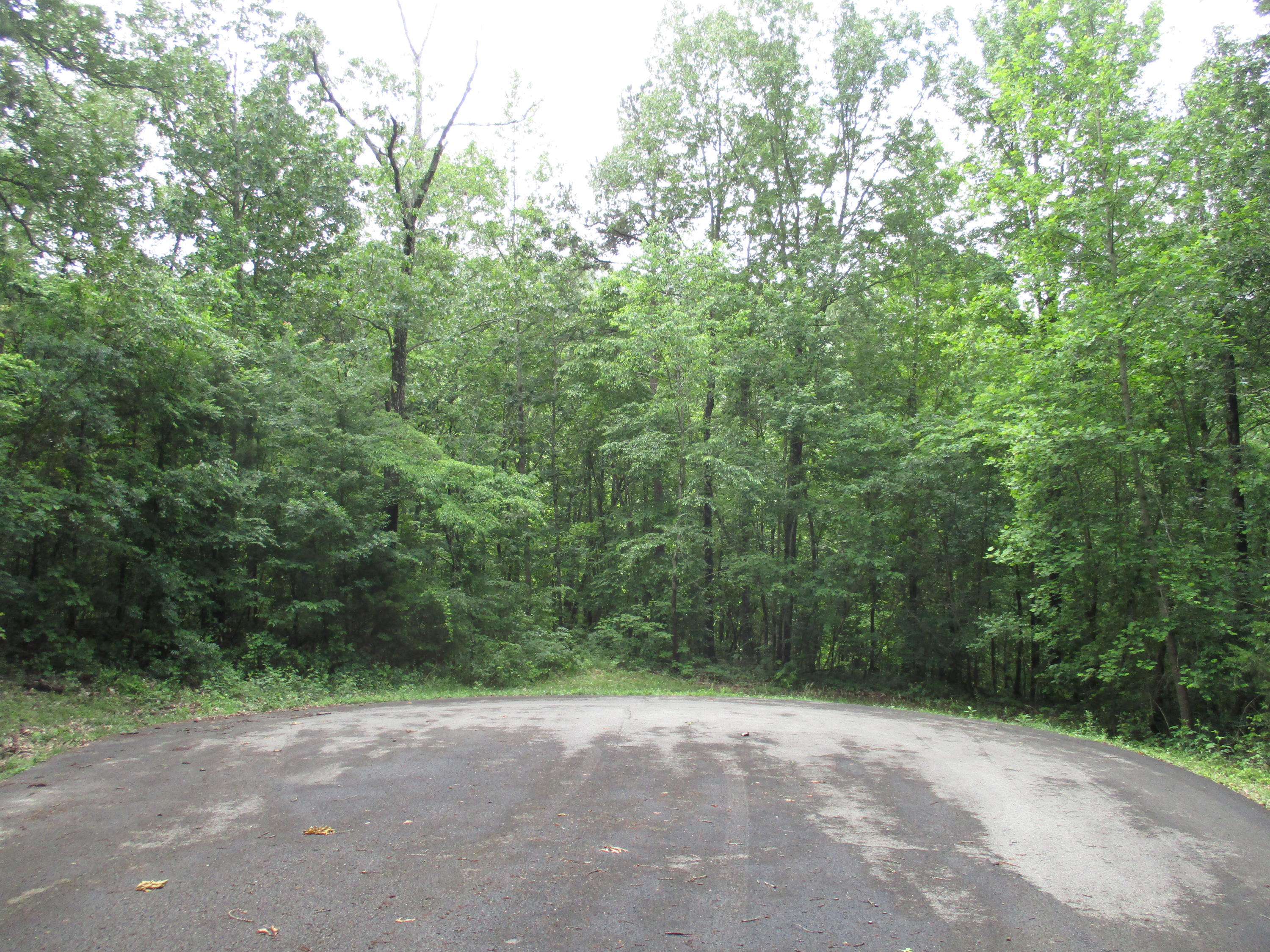 0 South Bluffs Road, Unit LOTS #32/33 Guild, TN 37340 - Photo 9 of 21 IMG_1185